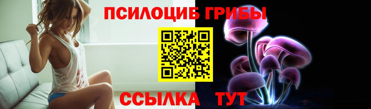 Галлюциногенные грибы Cubensis Сердобск